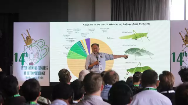 Los municipios de Tizimín y Buctzotz, son los que están bajo monitoreo