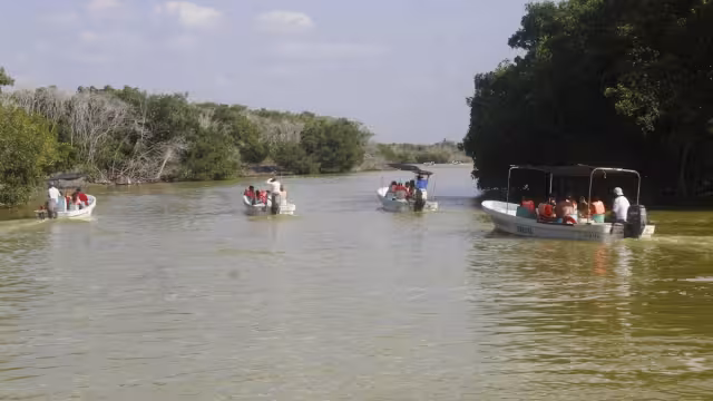 Las selvas bajas y medianas de la reserva natural han disminuido del 24 al 5 por ciento