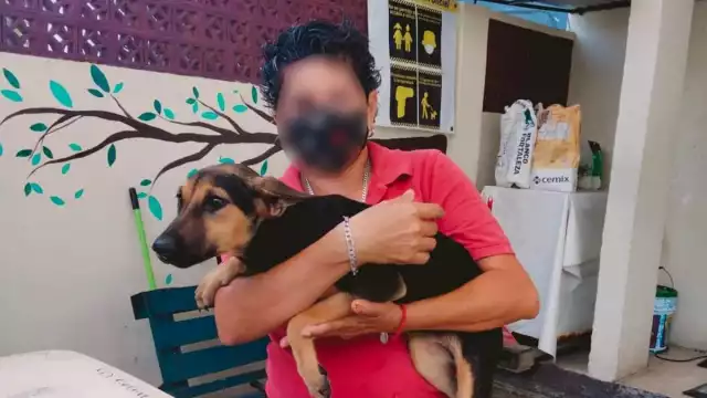 Los animalistas dijeron que la persona sujeta a investigación tendría al menos otras dos casas más que utilizaba para alberga a caninos