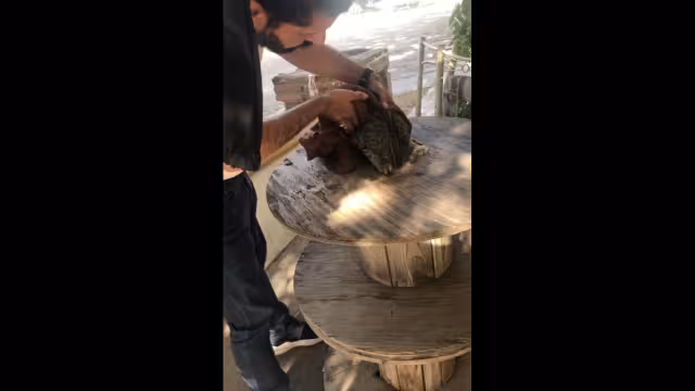 El hombre toma un trapo y con ello agarra al gato para sacarle la cabeza