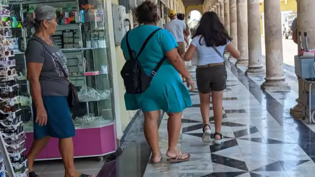 El artículo 13 de la Ley General de los Derechos de Niñas, Niños y Adolescentes dice que tienen derecho a vivir en condiciones de bienestar y libre de violencia