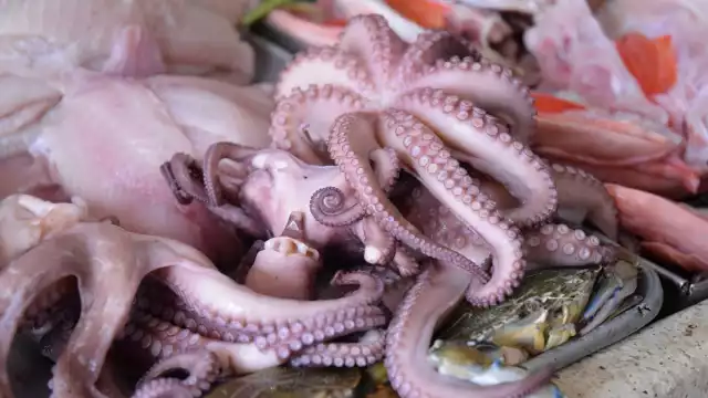 El costo actual por kilogramo es insuficiente para costear gasolina, carnada y alimento de los pescadores