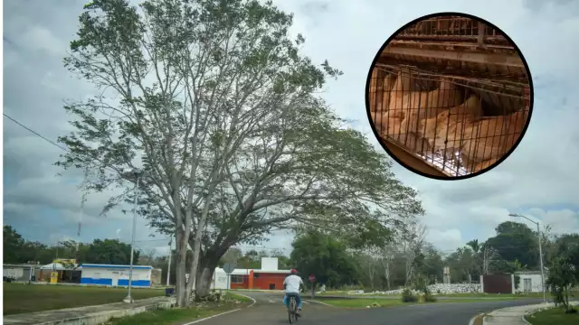 El municipio tiene 3 mil 600 habitantes, con al menos 80 cuerpos de agua, que se proyecta como un sitio de turismo ecológico