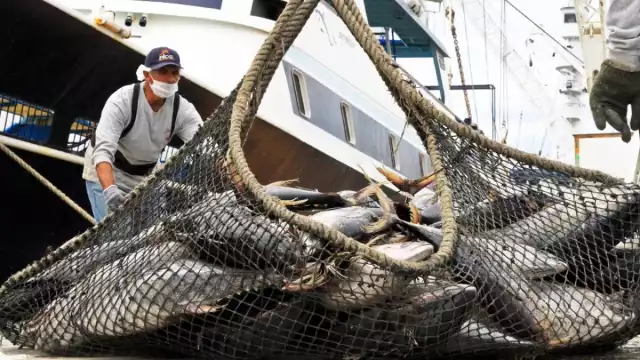 La Oficina Nacional de Administración Oceánica y Atmosférica de Estados Unidos revela que en México no existen acciones de combate