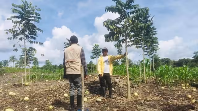 En un mes se repartirán las tarjetas de Bienestar en Campeche