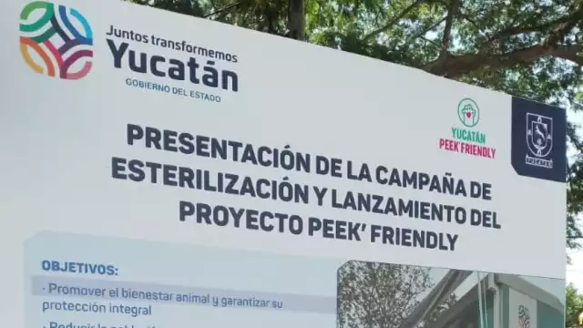 El Gobierno de Yucatán busca reducir la población de perros callejeros con una campaña de esterilización