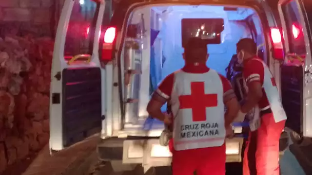 Trascendió que el animal que provocó este accidente perdió la vida por el fuerte impacto