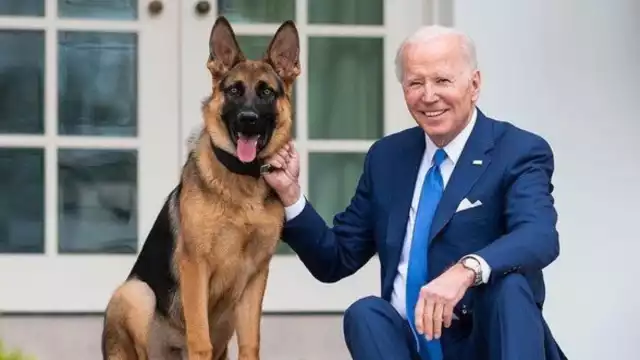 El perro llegó a la Casa Blanca en diciembre de 2021