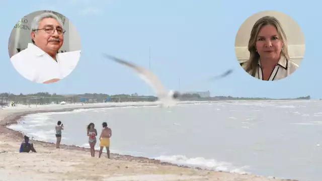 Cada vez más integrantes de la sociedad se unen en contra de la devastación costera