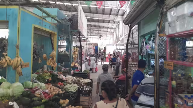 Comerciantes esperan un repunte mayor con la puesta en operación del Tren Maya