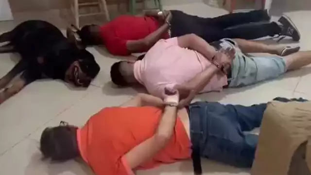 Perro "narco" causa ternura al rendirse ante la policía en operativo