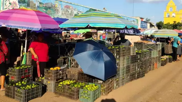 La caja del limón se vende en 250 pesos en el mercado de Oxkutzcab
