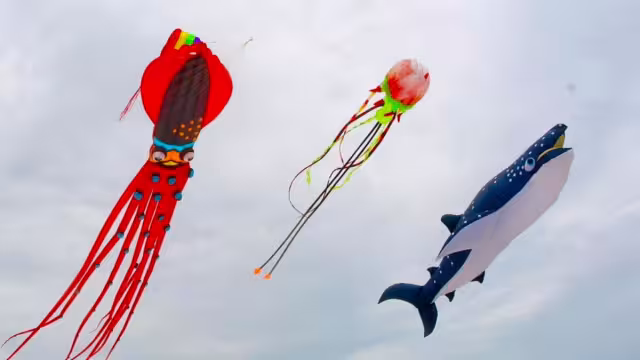 El Festival del Papagayos y Cometas en Progreso tendrá varias actividades