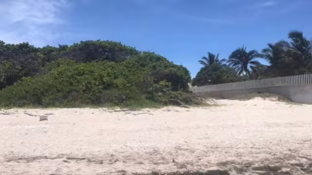 Los terrenos a la orilla de la playa son más costosos que dentro de la ciudad
