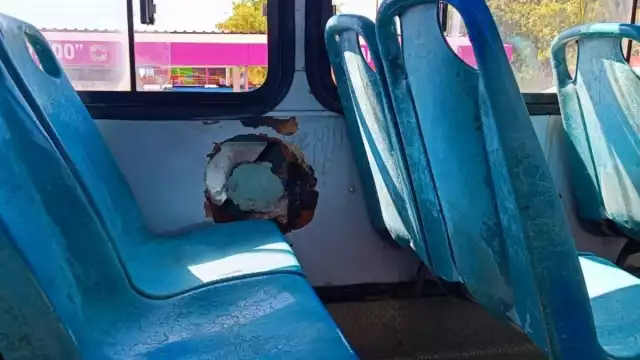 Las multas van de 50 y 100 Unidades de Medidas y Actualización (UMA)