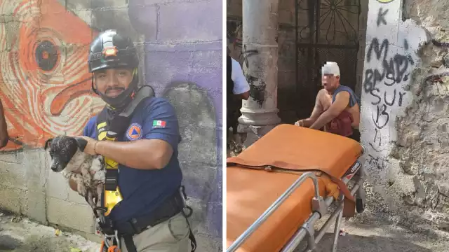 El hombre cayó luego de intentar rescatar a su perrito