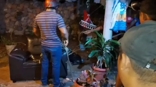 Hasta el momento no se ha dado con el paradero del dueño del pitbull