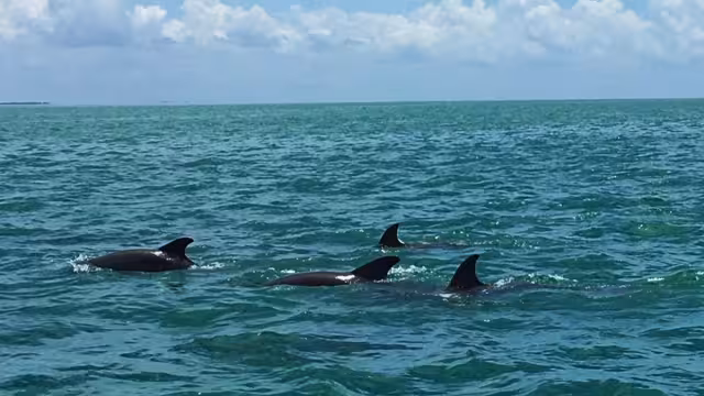 La inversión en los productos turísticos sería más beneficioso para atraer visitantes