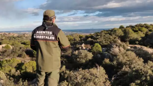 Los guardas forestales están comprometidos con el cuidado de los bosques, áreas protegidas y parques nacionales