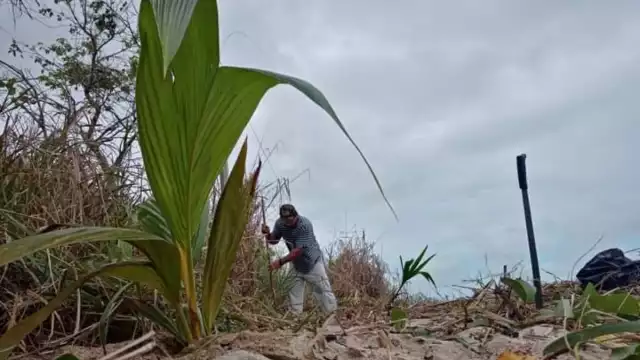 Habitantes de la Villa contribuyen con la protección del ecosistema marino