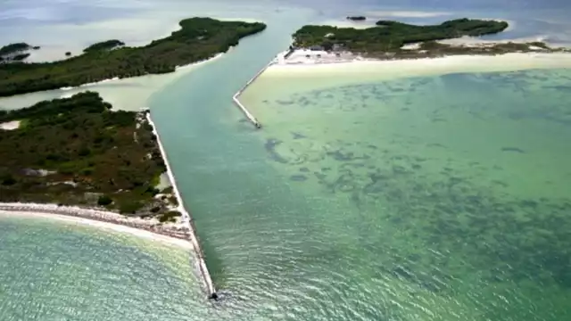 Algunas de las playas del estado maravillas por sus tonalidades rosas, y por sus hermosos ejemplares de flamencos