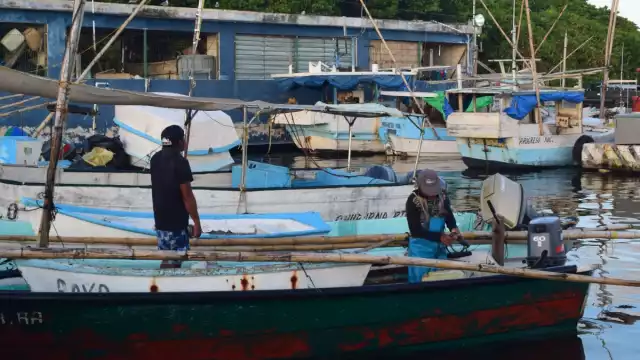 Pescadores ven en la marea roja una amenaza a la temporada de pulpo