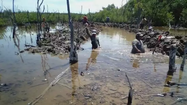 Desde 1994 Ciudad del Carmen es parte del área natural protegida más importante del país