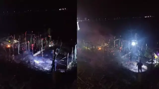 Recientemente se habían dado mantenimiento a las palapas por temporada de playa