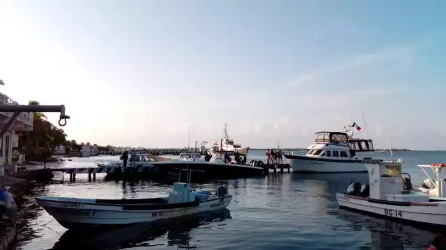 El 86% de la cantidad obtenida se destinó para la compra del combustible