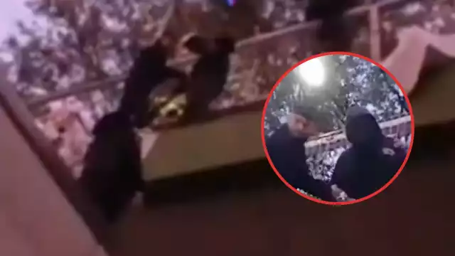 Los policías lograron bajarlo sano y salvo