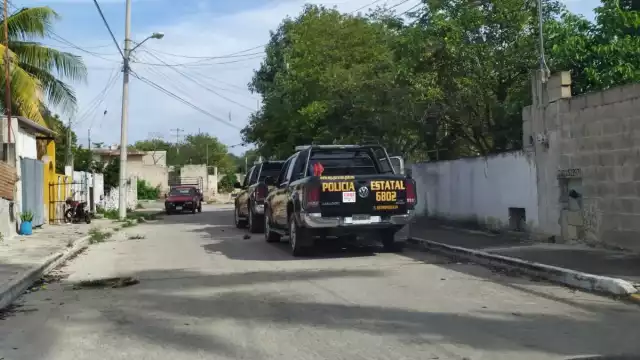 El hombre cortaba las hojas de ramón de un árbol