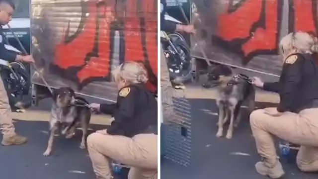 El conductor del remolque fue detenido