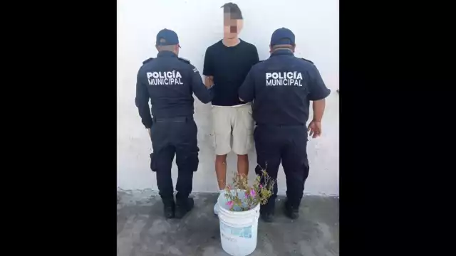 El punto de partida fue la zona centro a fin de plantar cerca de 100 especies