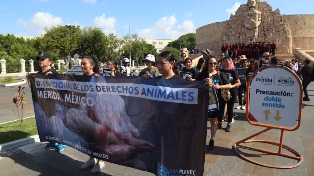 La marcha acabó en el Remate de Montejo con una degustación vegana