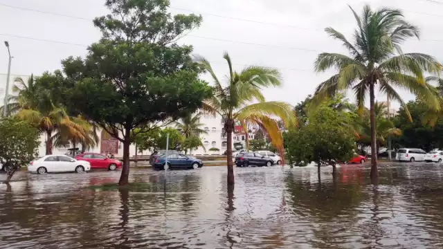 De formarse, este tomaría en el nombre de "Bret", ya que como se recuerda el primero fue "Arlene"