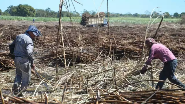 Esta vez, los trabajadores prefirieron dedicarse a las labores del Tren Maya.