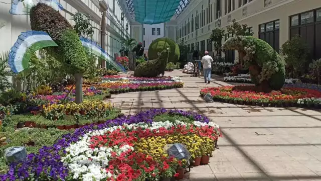 El Camino de las Flores de Mérida funcionará como un parador fotográfico en Semana Santa