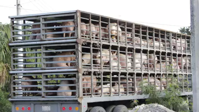 El caso ya había recorrido todos los niveles jurídicos necesarios, incluso hasta la Suprema Corte de Justicia de la Nación