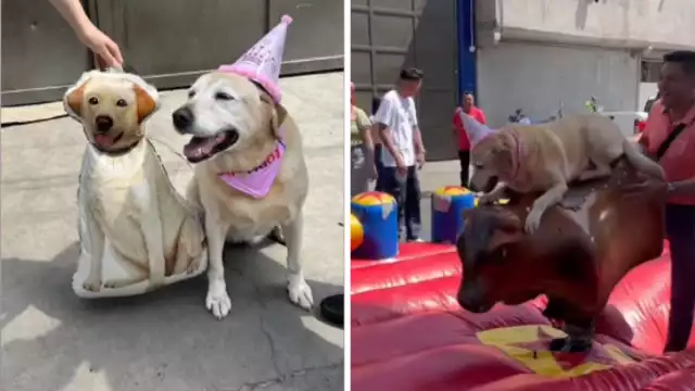 Frida celebró 10 años con una gran fiesta