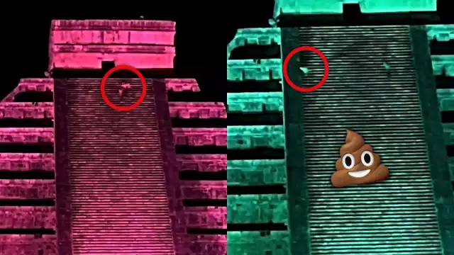 El video fue compartido a través de TikTok