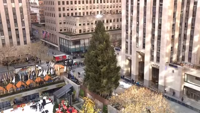 El árbol de navidad antes de ser encendido. Foto: Especial