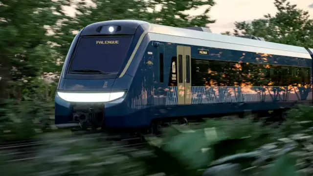 El medio de transporte ferroviario ofrecerá tres servicios, los cuales son: tren de pasajeros, tren turístico y tren de carga