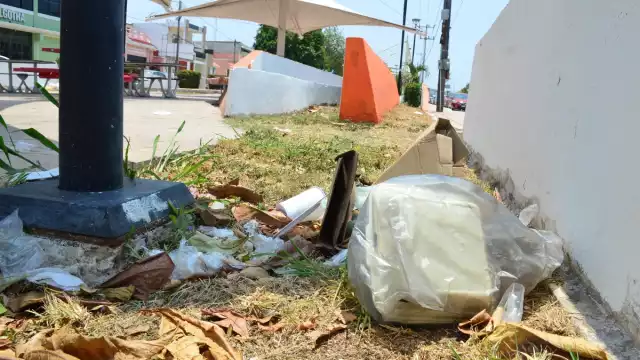 Familias ya no visitan los parques por miedo a la delincuencia