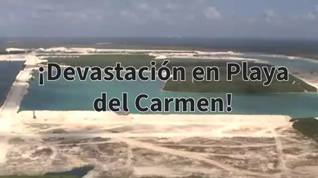 Durante 35 años Calica explotó el subsuelo causando daño ambiental