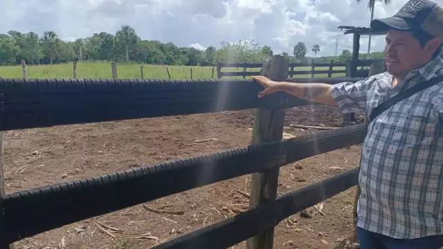 Indicó que entre los beneficios de las rejillas hechas con llantas se encuentran la resistencia, así como el bajo costo