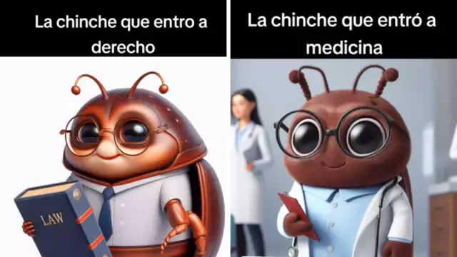 Lo divertido es ver como salen las chinches de la UNAM