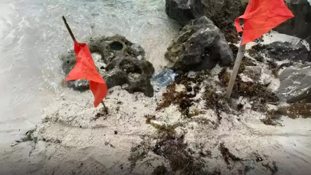 La presunta droga fue hallada en la arena