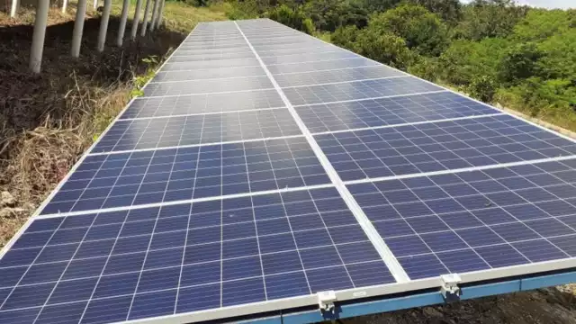 Algunos productores morelenses afirman el costo de una placa oscila en 20 mil pesos