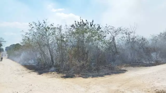 El incendio se habría originado por botellas rotas en José María Morelos