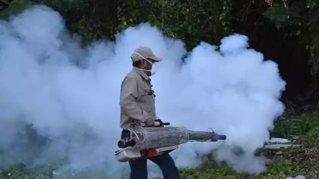 El pasado lunes se reportó la muerte de un niño con síntomas de dengue
